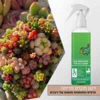 תרסיס דשן המקדם התפתחות של ניצנים ופריחה מואצת לסוקולנטים 300 מ”ל