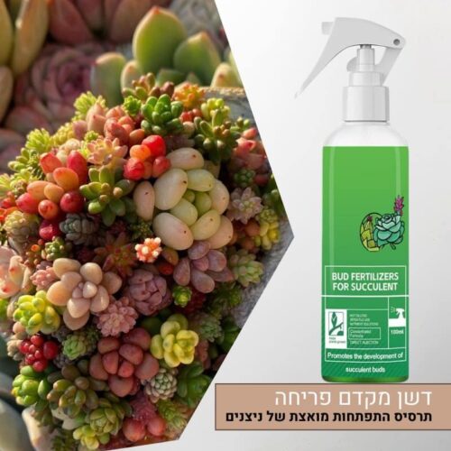 תרסיס דשן המקדם התפתחות של ניצנים ופריחה מואצת לסוקולנטים 300 מ”ל