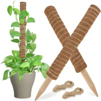 kf-S9998f6f0b0674c4a9674ab49dfc531e94-30cm-40cm-50cm-Moss-Totem-Pole-Moss-Pole-for-Plants-Monstera-2-Pcs-Moss-Pole-for מוטות תמיכה יציבים מסיבי קוקוס - עמודי קוקוס ישרים המספקים תמיכה לצמחים מטפסים