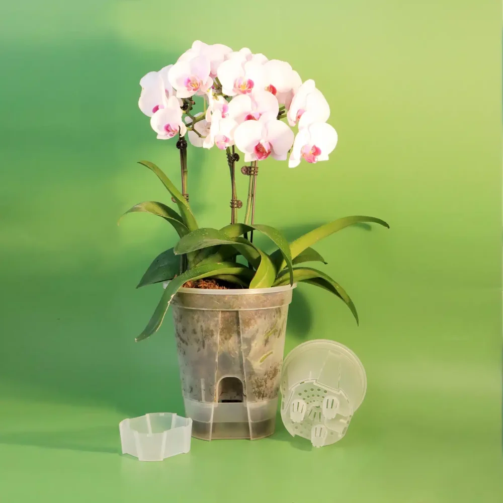 kf-Sad71098e939c4fd0b0202c188a8e6f49t-Premium-Clear-Desktop-Resin-Flower-Pot-Transparent-Nurturing-Your-Green-Plants-Suitable-for-Placing-Orchids העציץ המושלם לגידול סחלבים: עציץ שקוף עם עיצוב נושם במיוחד הכולל מחדיר ואוגר מים