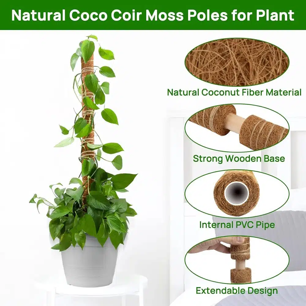 kf-Sc57aad0f02ff499eaa695ce6ef87ee926-30cm-40cm-50cm-Moss-Totem-Pole-Moss-Pole-for-Plants-Monstera-2-Pcs-Moss-Pole-for מוטות תמיכה יציבים מסיבי קוקוס - עמודי קוקוס ישרים המספקים תמיכה לצמחים מטפסים