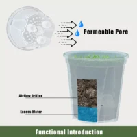 kf-Sebb146f6055144d59bf224b271a0c1a3i-Premium-Clear-Desktop-Resin-Flower-Pot-Transparent-Nurturing-Your-Green-Plants-Suitable-for-Placing-Orchids העציץ המושלם לגידול סחלבים: עציץ שקוף עם עיצוב נושם במיוחד הכולל מחדיר ואוגר מים