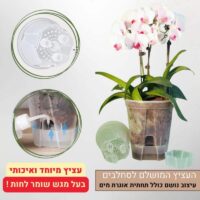 העציץ המושלם לסחלבים העציץ המושלם לסחלבים