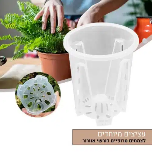 עציצים חכמים שקופים לצמחים טרופים דורשי איוורור עציצים חכמים שקופים לצמחים טרופים דורשי איוורור