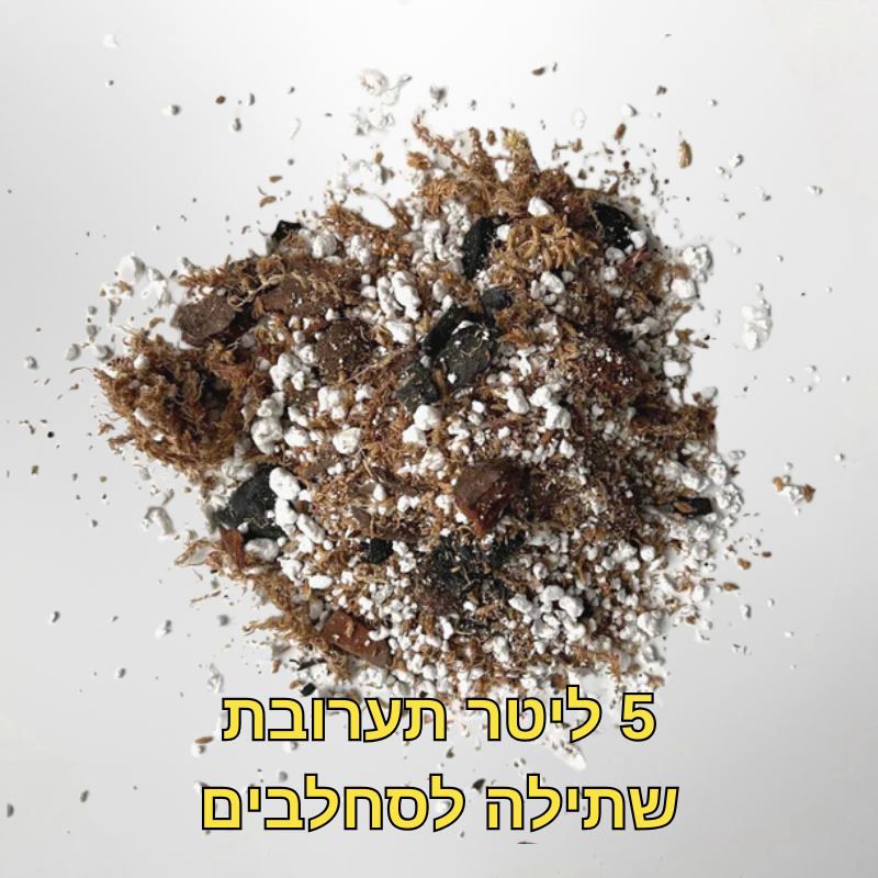קיט הקסם לסחלבים - מצע שתילה מיוחד לסחלבים