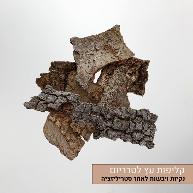 קליפות עץ לטרריום
