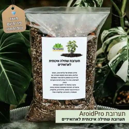 תערובת שתילה איכותית לארואידים תערובת שתילה איכותית לארואידים