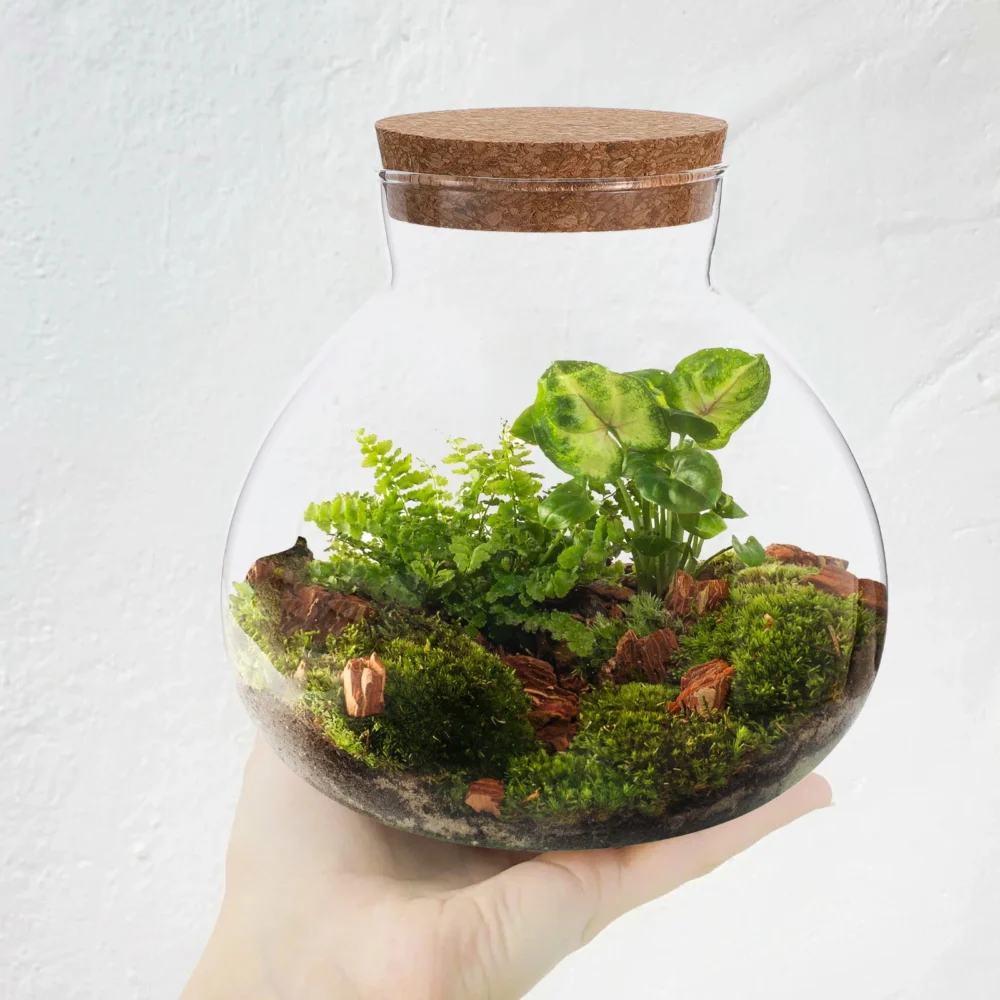 kf-S208f3bf99c50440791bcbac7d330344ex-Micro-Landscape-Ecological-Bottle-Microlandscape-Plants-Light-Bulbs-Home-Empty-Glass-Moss-Planter-Terrarium כלי זכוכית צנצנת טרריום זכוכית בעיצוב נורה