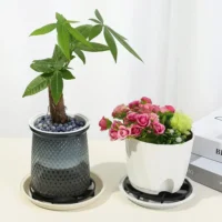 מעמד פלסטיק לעציצים עבור מגשי טפטוף (מונע ריקבון שורשים) לאוורור וניקוז יעילים
