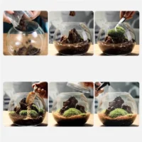kf-S4f0b3ac2c0ae4ce2bb8c25c0dc347367b-Micro-Landscape-Moss-Bryophyte-Ball-Shape-Glass-Vase-With-Lid-Fresh-Green-Moss-Bottle-Glass-Terrarium כלי זכוכית צנצנת טרריום - זכוכית מבריקה בעיצוב בלון