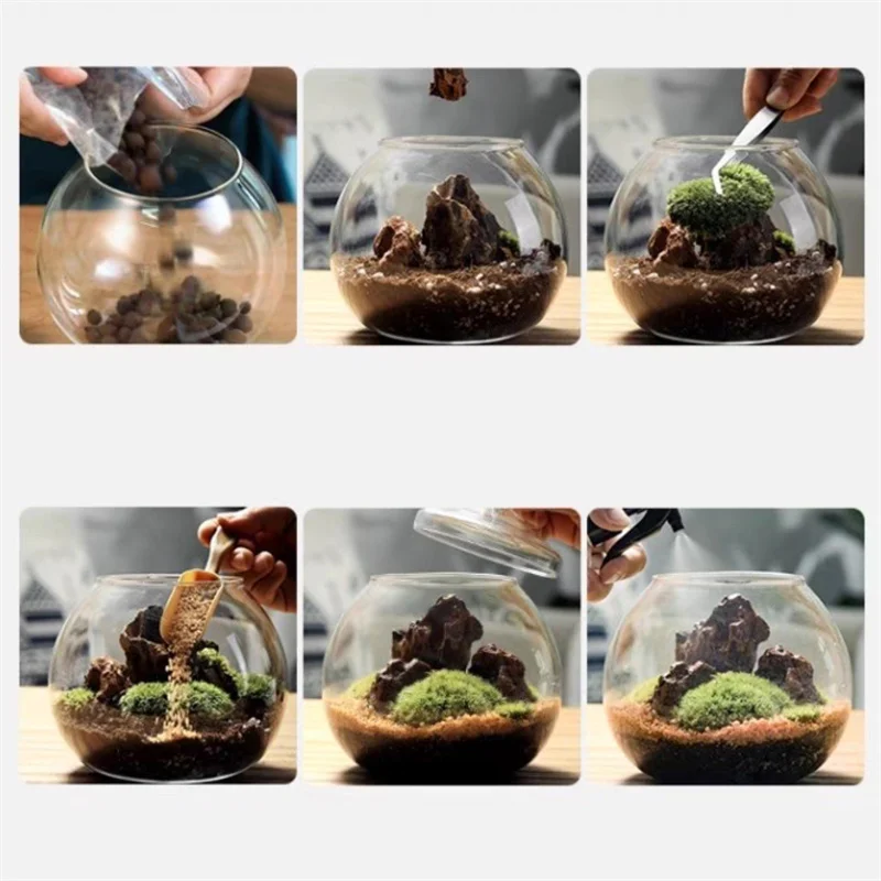 kf-S4f0b3ac2c0ae4ce2bb8c25c0dc347367b-Micro-Landscape-Moss-Bryophyte-Ball-Shape-Glass-Vase-With-Lid-Fresh-Green-Moss-Bottle-Glass-Terrarium כלי זכוכית צנצנת טרריום - זכוכית מבריקה בעיצוב בלון