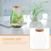 kf-S6dacb5048684433b83f1c0aa5ffc5271j-Micro-Landscape-Ecological-Bottle-Terrarium-Jar-Hydroponic-Plant-Bryophyte-Glass כלי זכוכית צנצנת ליצירת טרריום מזכוכית עם פקק שעם