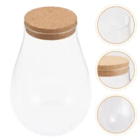 kf-S8ecada4629eb412786682e57bff3a689t-Micro-Landscape-Ecological-Bottle-Terrarium-Jar-Hydroponic-Plant-Bryophyte-Glass כלי זכוכית צנצנת ליצירת טרריום מזכוכית עם פקק שעם