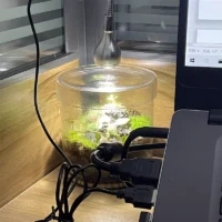 kf-S92cb89bfe28c433ca6c081f0e170a2f8E-Micro-Landscape-Moss-Bryophyte-Transparent-Cylinder-Glass-Bottles-with-Lid-Fresh-Moss-Bottle-Glass-Terrarium-Home כלי זכוכית צנצנת טרריום שקופה מזכוכית בורוסיליקט - בית מושלם לעולם הטחבים והצמחים הזעירים