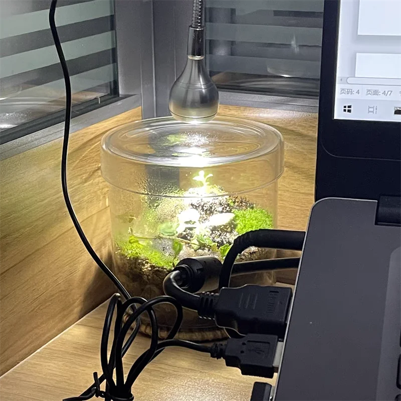 kf-S92cb89bfe28c433ca6c081f0e170a2f8E-Micro-Landscape-Moss-Bryophyte-Transparent-Cylinder-Glass-Bottles-with-Lid-Fresh-Moss-Bottle-Glass-Terrarium-Home כלי זכוכית צנצנת טרריום שקופה מזכוכית בורוסיליקט - בית מושלם לעולם הטחבים והצמחים הזעירים