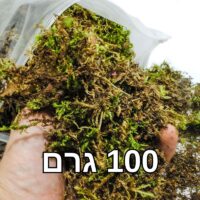 אזוב טחב יערות יבש 100 גרם