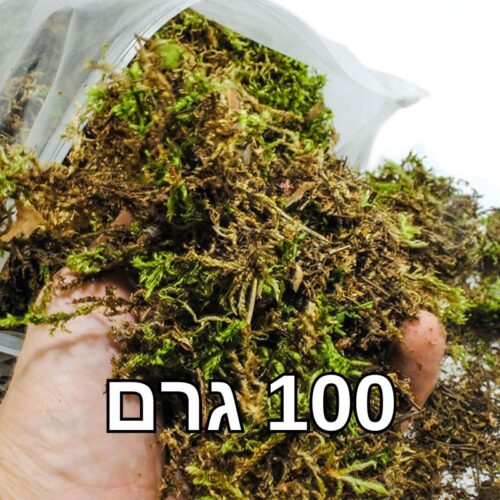 אזוב טחב יער 100% טבעי יבש, לגידול צמחים, טרריומים, קוקדמה וזוחלים - ייבוא מיוחד 💎 - 100-גרם - משקל: 100 גרם