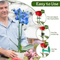 kf-S7abcef9f0adc41d7af18042d7b93fef5I-Plant-Stakes-Plant-Support-Stakes-Suitable-for-Indoor-Outdoor-Plants-Green-Plant-Stick-Support-Potted-Plants סט 15 מוטות תמיכה מקצועיים עם קליפסים - מושלם לסחלבים ולשאר צמחי הבית והגינה הדורשים תמיכה