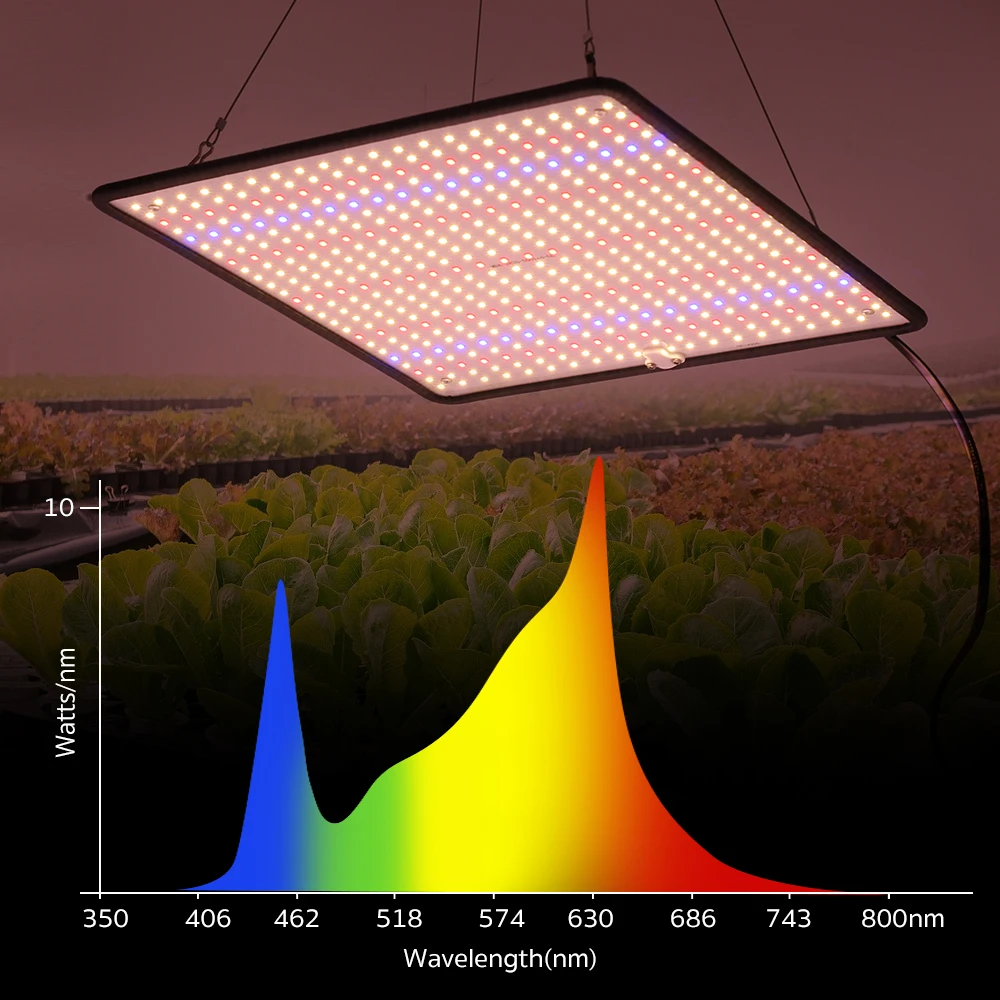 מנורת גידול LED מקצועית לצמחים 1200W ספקטרום אור מלא בכיסוי עד 3 מר