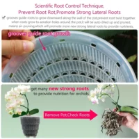 kf-Sc88c9e5325be4cfdaa286859d05f79baj-Meshpot-12-cm-Plastic-Orchid-Pot-Inner-Clear-Orchid-Planter-Double-Layer-Good-Outlooking-Plants-Container עציץ לסחלבים מקצועי - לגידול מיטבי דו-שכבתי עם טכנולוגיית ניקוז ייחודית ומערכת אוורור חכמה