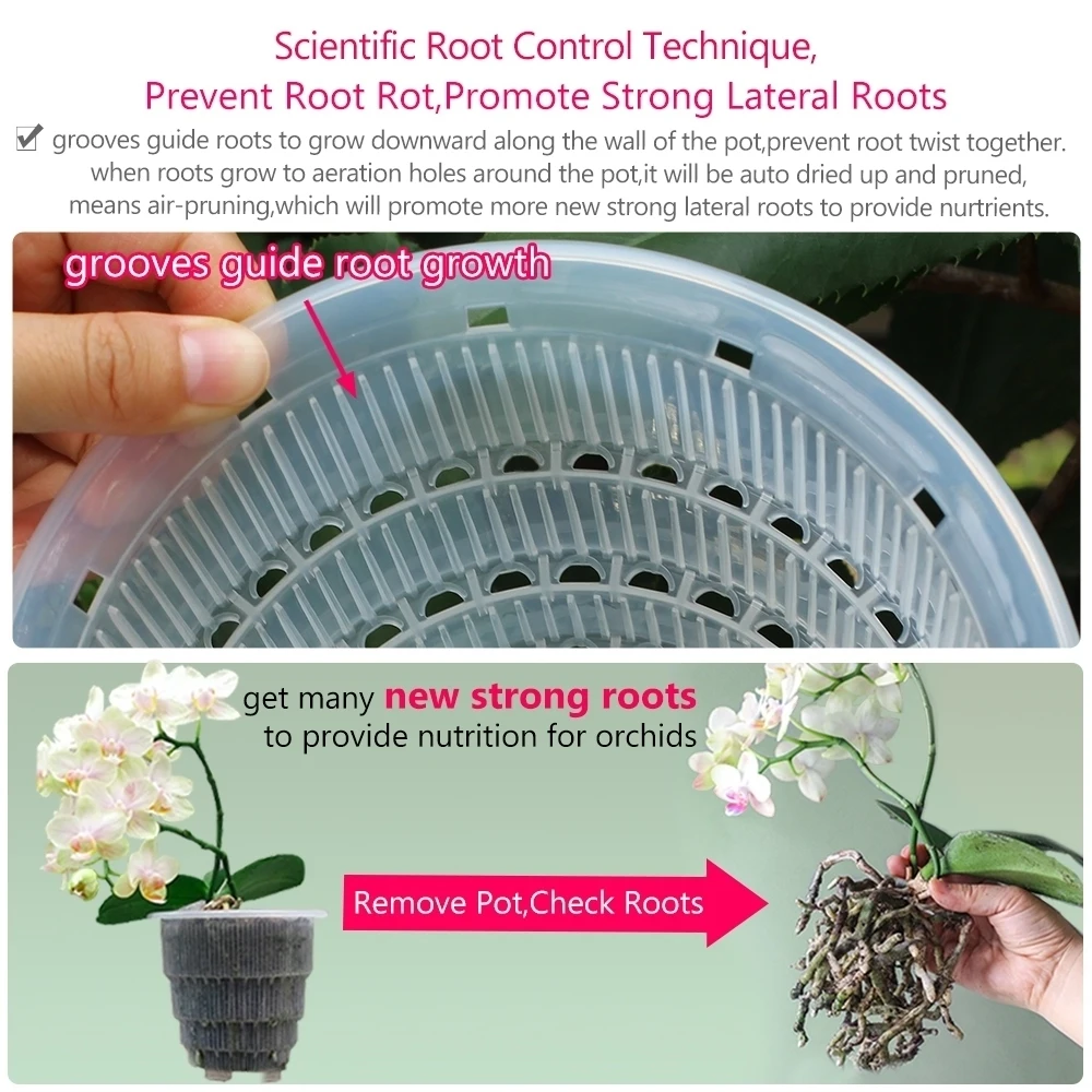 kf-Sc88c9e5325be4cfdaa286859d05f79baj-Meshpot-12-cm-Plastic-Orchid-Pot-Inner-Clear-Orchid-Planter-Double-Layer-Good-Outlooking-Plants-Container עציץ לסחלבים מקצועי - לגידול מיטבי דו-שכבתי עם טכנולוגיית ניקוז ייחודית ומערכת אוורור חכמה