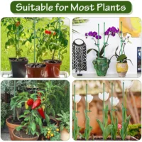 kf-Scaf50078c3104d9cb9d87fbc31479b8cj-Plant-Stakes-Plant-Support-Stakes-Suitable-for-Indoor-Outdoor-Plants-Green-Plant-Stick-Support-Potted-Plants סט 15 מוטות תמיכה מקצועיים עם קליפסים - מושלם לסחלבים ולשאר צמחי הבית והגינה הדורשים תמיכה