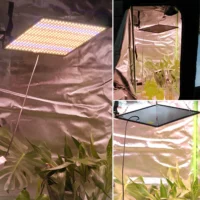 מנורת גידול LED מקצועית לצמחים 1200W ספקטרום אור מלא בכיסוי עד 3 מר