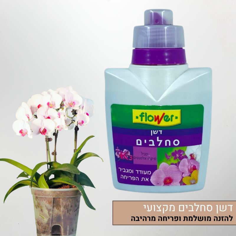 דשן סחלבים של חברת Flower דשן סחלבים של חברת Flower