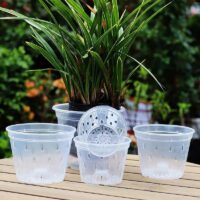 עציצים שקופים לסחלבים וצמחי אוויר במגוון גדלים  - רחבים ועמוקים ובעלי חורי אוורור לשורשי הצמח