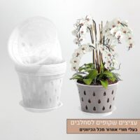 עציצים שקופים לסחלבים