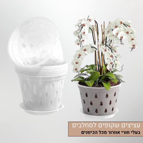 עציצים שקופים לסחלבים