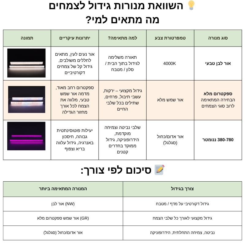 תאורת