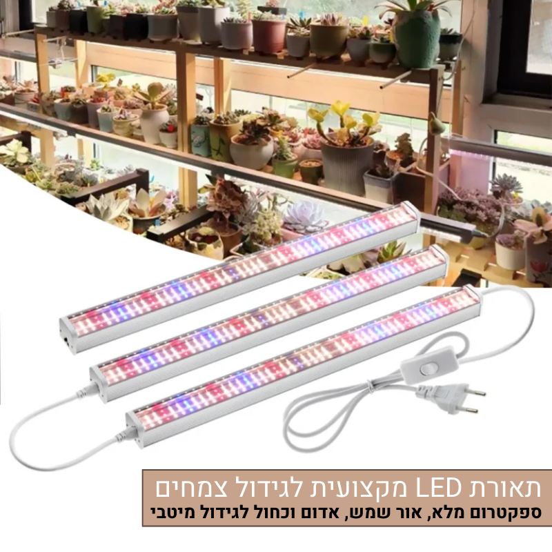 תאורת LED מקצועית לגידול צמחים תאורת LED מקצועית לגידול צמחים