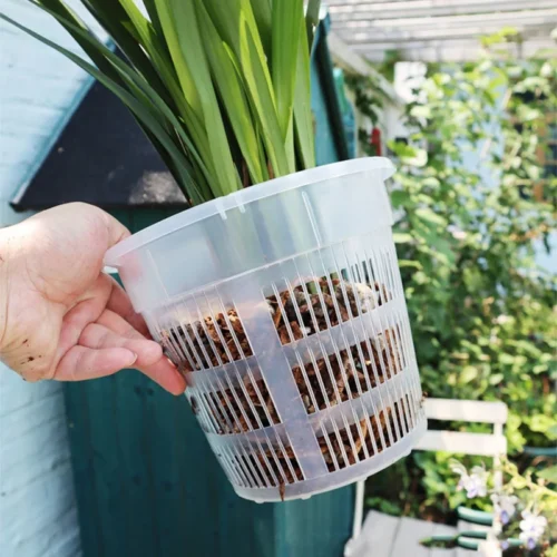 עציץ סחלבים מקצועי (Orchid Pot) עם מערכת ניקוז חכמה - פלסטיק שקוף עם חורי ניקוז מוגברים לאוורור שורשים מקסימלי ובריא