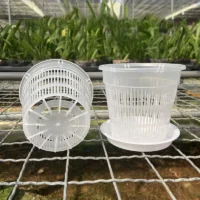 עציץ סחלבים מקצועי (Orchid Pot) עם מערכת ניקוז חכמה - פלסטיק שקוף עם חורי ניקוז מוגברים לאוורור שורשים מקסימלי ובריא
