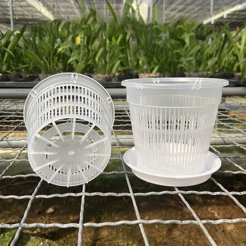 עציץ סחלבים מקצועי (Orchid Pot) עם מערכת ניקוז חכמה - פלסטיק שקוף עם חורי ניקוז מוגברים לאוורור שורשים מקסימלי ובריא