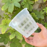 עציץ סחלבים מקצועי (Orchid Pot) עם מערכת ניקוז חכמה - פלסטיק שקוף עם חורי ניקוז מוגברים לאוורור שורשים מקסימלי ובריא