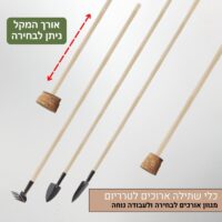 כלי שתילה ארוכים לטרריום