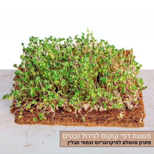 משטח דפי קוקוס אורגני מצע לגידול נבטים