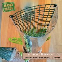 עמוד ספגנום D