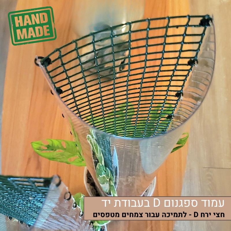 עמוד ספגנום D