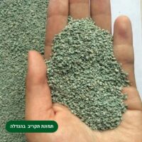 אבני זיאוליט גרוסות (2) אבני זיאוליט גרוסות (2)