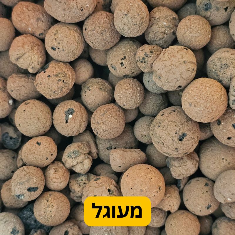כדורי הידרוטון Hydroton, קרמזיט, ליקה מעוגלים