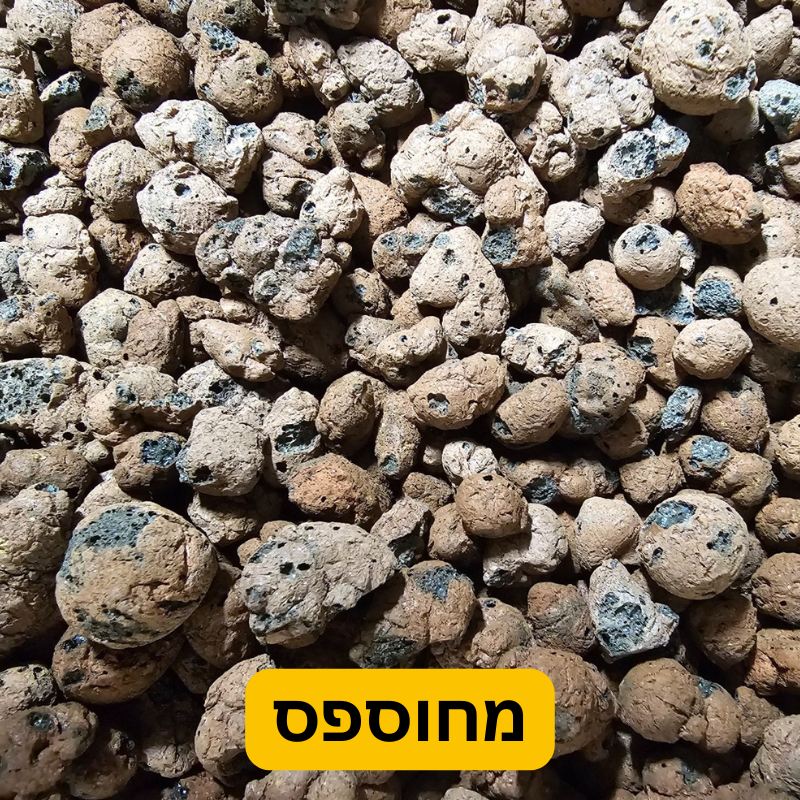 כדורי הידרוטון Hydroton, קרמזיט, ליקה מחוספסים