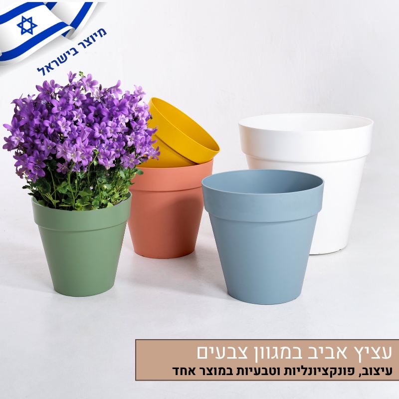 עציץ אביב במגוון צבעים