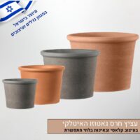 עציץ חרס גאטוזו האיטלקי