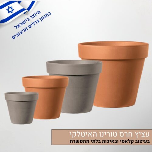 עציץ חרס טורינו האיטלקי