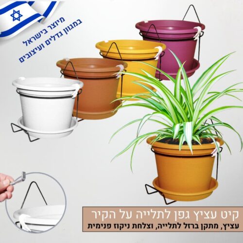 קיט עציץ גפן לתלייה על הקיר