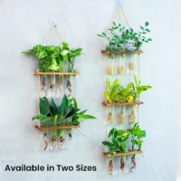kf-S158de0814e664b77bd99047c8296d346s-Wall-Hanging-Test-Tube-Glass-Planter-Plant-Vase-with-Wooden-Stand-Strings-Rope-Glass-Planter-Plant מתקן תלייה דו-קומתי להשרשת צמחים במים - עיצוב סקנדינבי מינימליסטי
