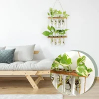 kf-S5efd5f5235f04ff2817d3a021ee630baR-Wall-Hanging-Test-Tube-Glass-Planter-Plant-Vase-with-Wooden-Stand-Strings-Rope-Glass-Planter-Plant מתקן תלייה דו-קומתי להשרשת צמחים במים - עיצוב סקנדינבי מינימליסטי